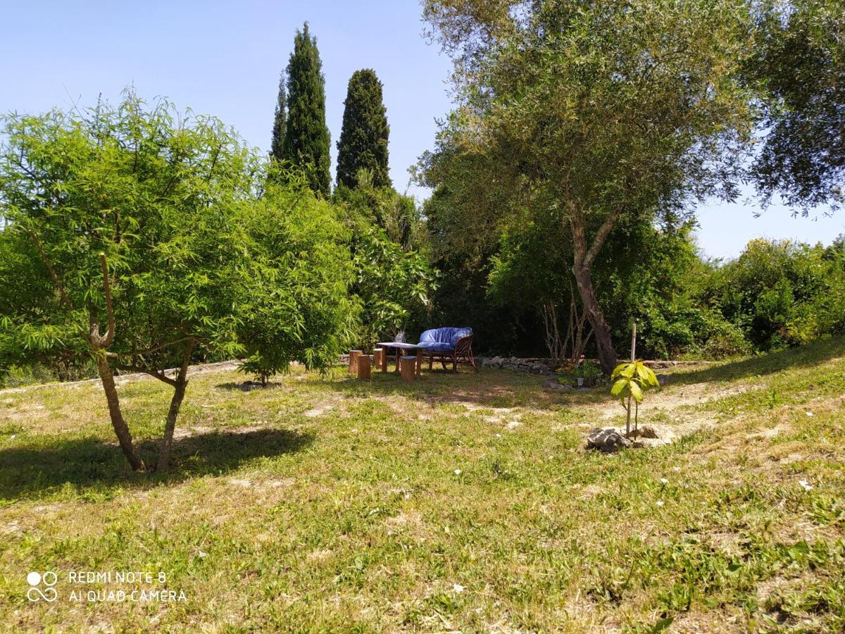 Corfu Villa Galini Potamós Exterior foto
