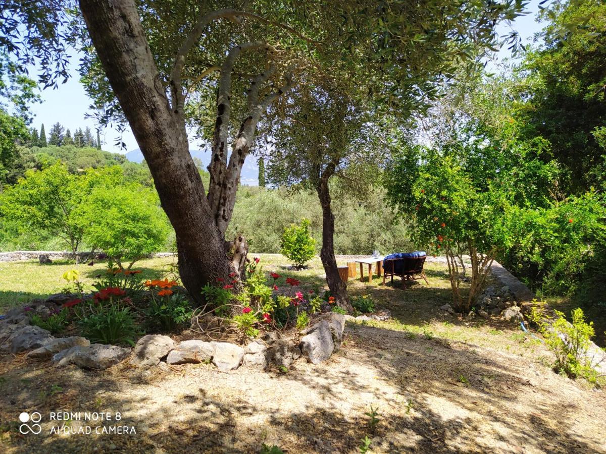 Corfu Villa Galini Potamós Exterior foto