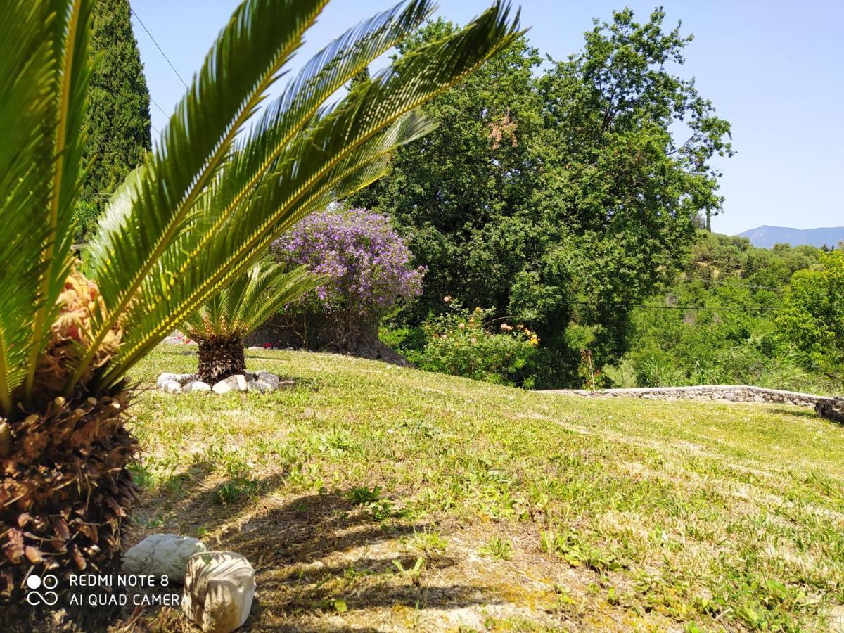 Corfu Villa Galini Potamós Exterior foto
