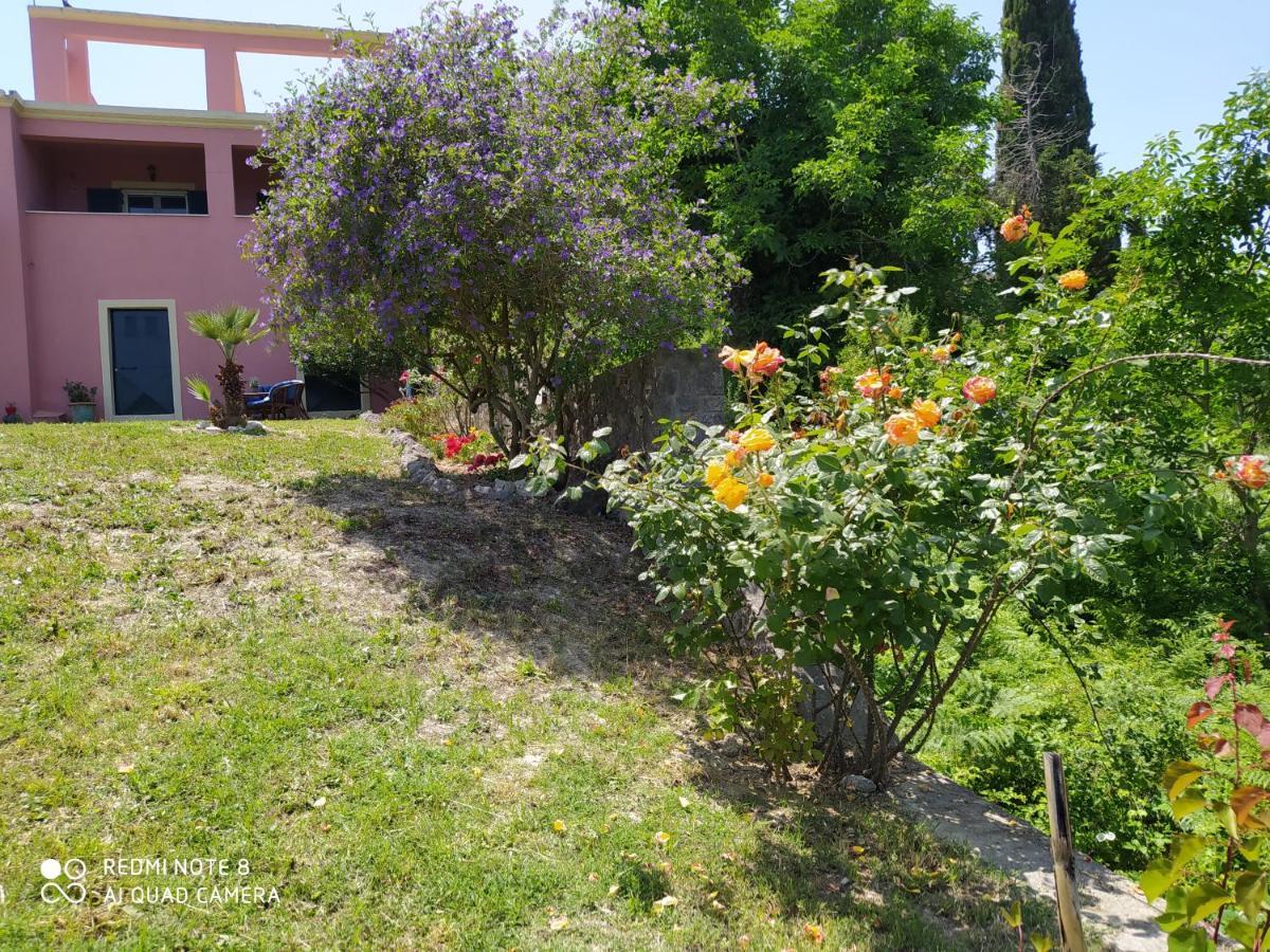 Corfu Villa Galini Potamós Exterior foto
